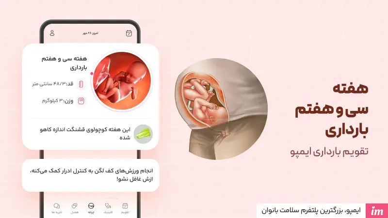 وضعیت جنین در هفته 37 بارداری