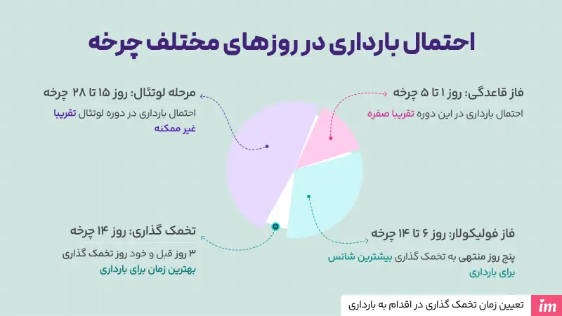 بهترین زمان اقدام به بارداری