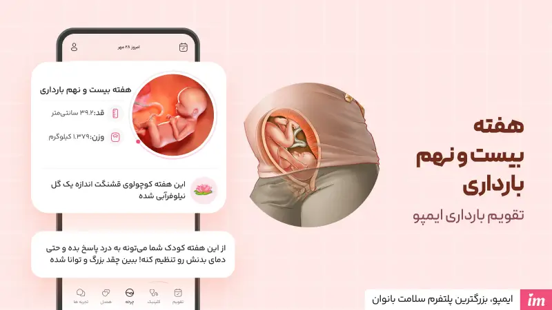 وضعیت جنین در هفته بیست و نهم بارداری