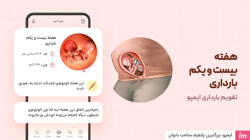 وضعیت جنین در هفته بیست و یکم بارداری