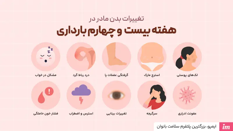 علائم مادر در هفته بیست و چهارم