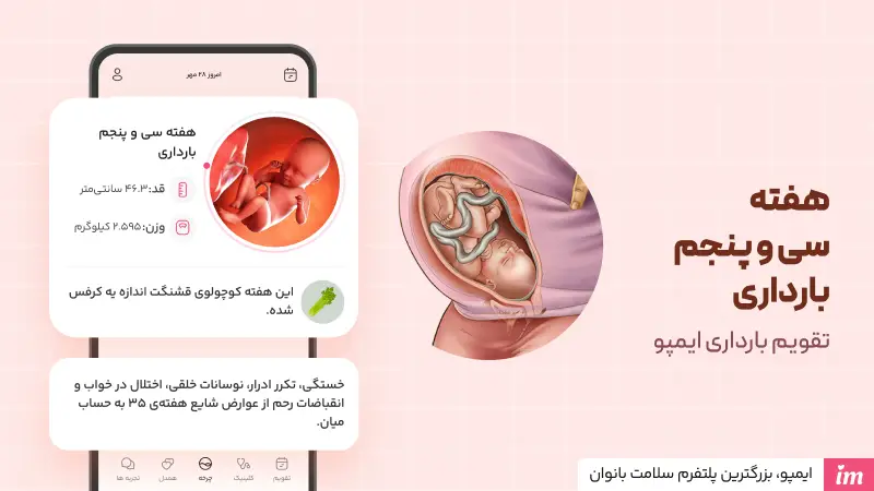 وضعیت جنین در هفته سی و پنجم بارداری