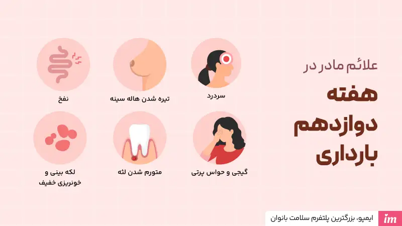 تغییرات بدن مادر در هفته دوازدهم بارداری