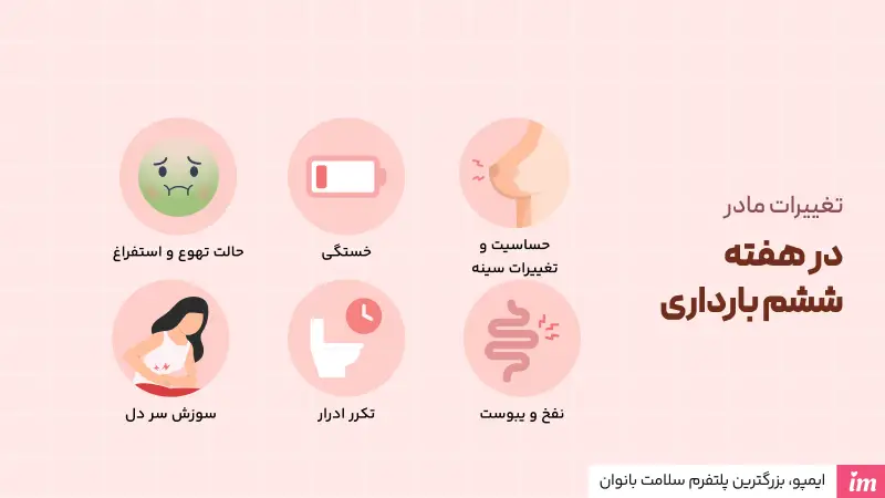 علائم مادر در هفته ششم بارداری