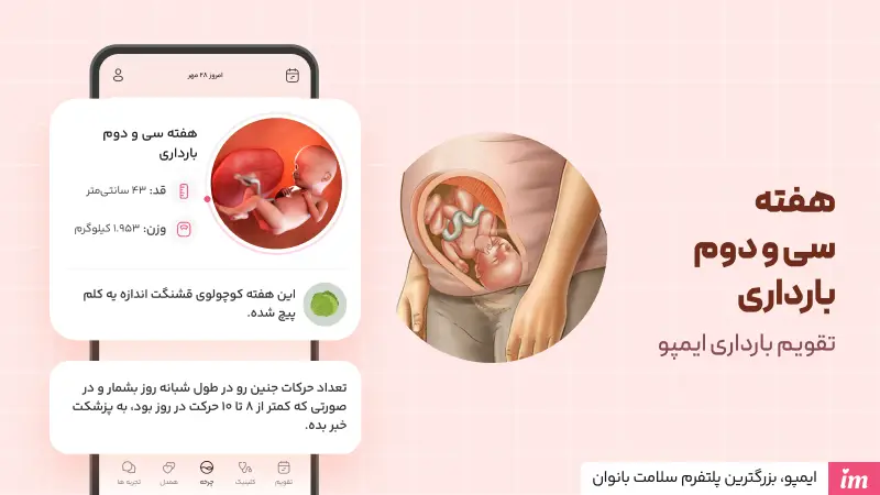 وضعیت جنین در هفته سی و دوم بارداری