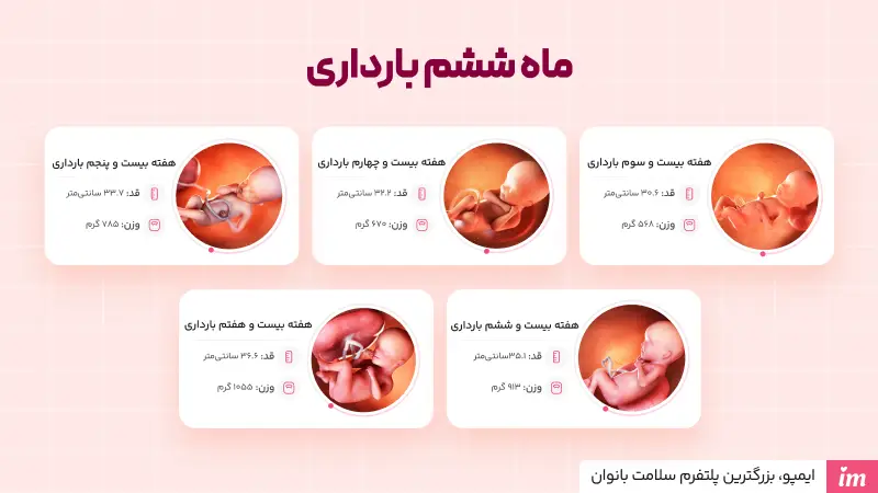 وضعیت جنین در ماه ششم بارداری