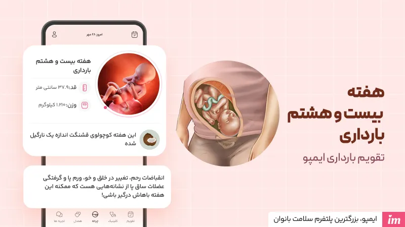 عکس جنین 28 هفتهای