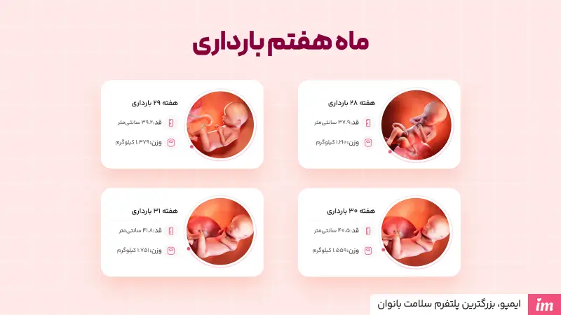 وضعیت جنین در ماه هفتم بارداری