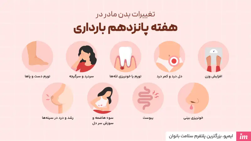 تغییرات بدن مادر در هفته پانزدهم باردرای