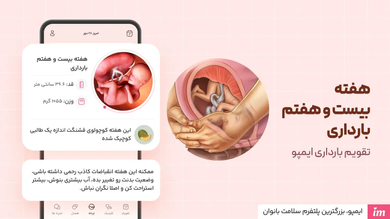 عکس جنین در هفته 27 بارداری