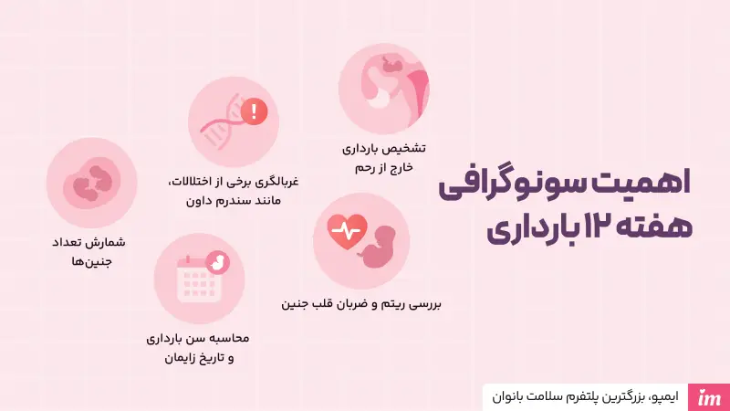 سونوگرافی هفته 12 بارداری