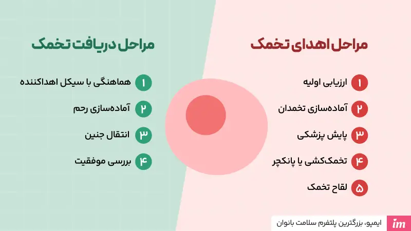 اهدای تخمک چگونه انجام می‌شود؟