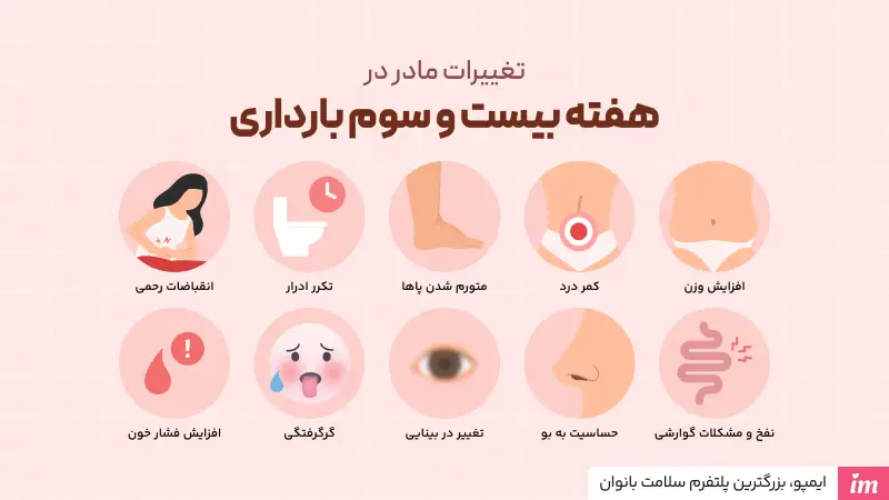 تغییرات بدن مادر در هفته 23 بارداری