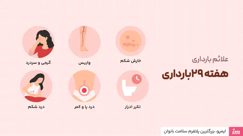 تغییرات بدن مادر در هفته بیست و نهم بارداری