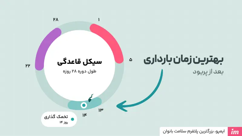 بهترین زمان برای بارداری بعد از پریود