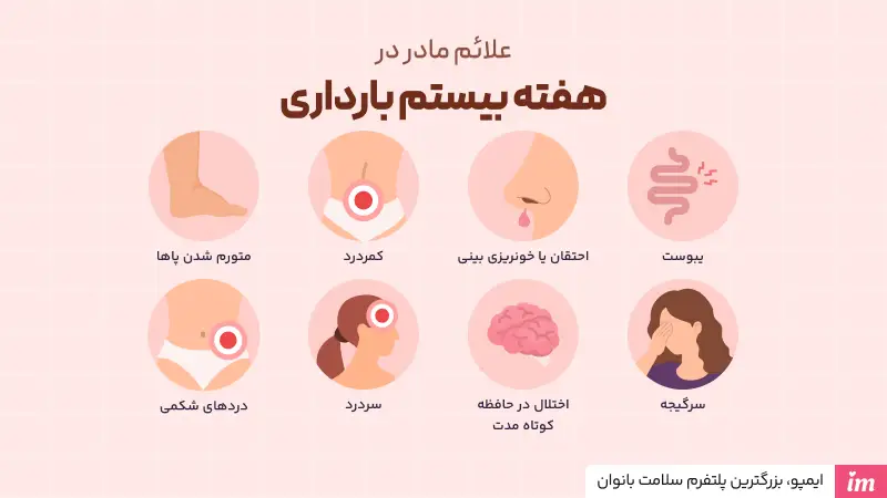 علائم بدن مادر در هفته بیستم بارداری