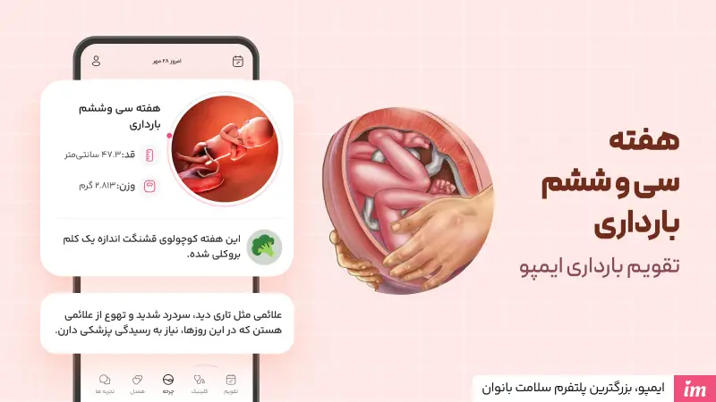 وضعیت جنین در هفته 36 بارداری