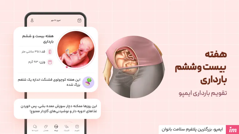 عکس جنین در هفته 26 بارداری