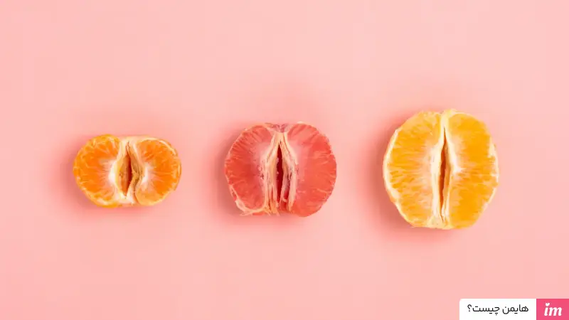 عکس پرده بکارت