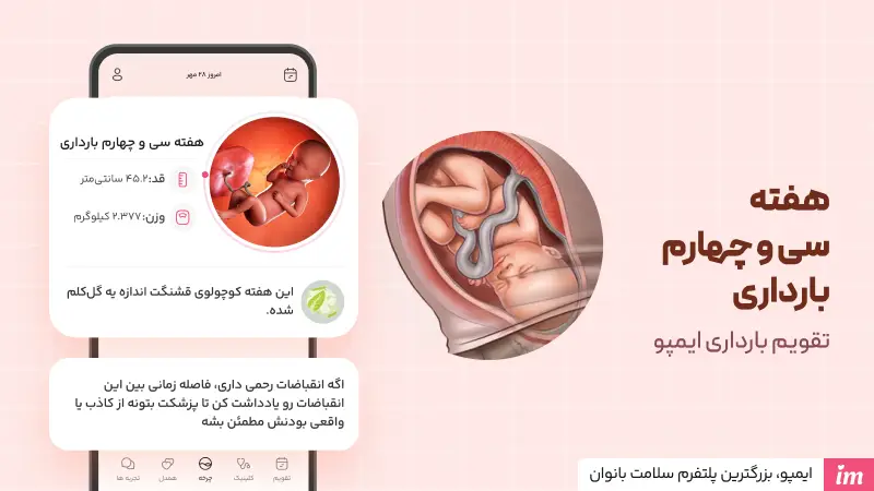 وضعیت جنین در هفته 34 بارداری