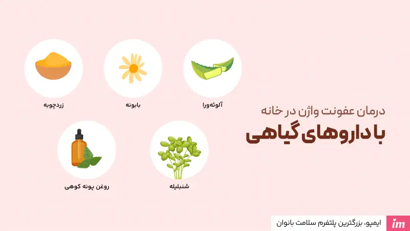 درمان عفونت واژن در خانه با داو گیاهی