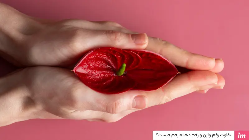 تفاوت زخم واژن و زخم دهانه رحم چیست؟