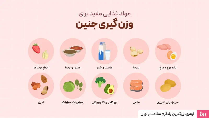 برای وزن گیری جنین چی بخوریم
