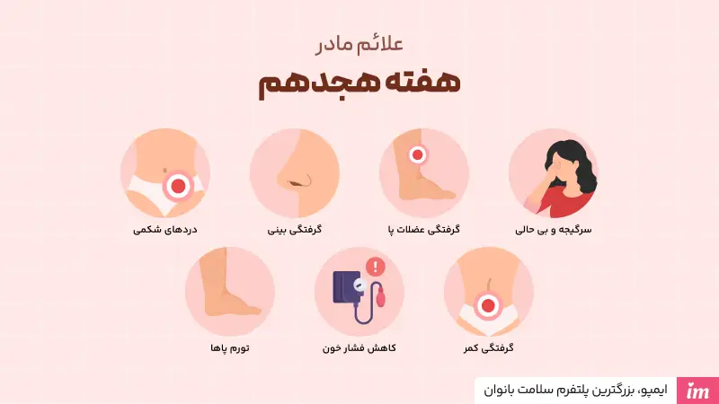 علائم مادر در هفته هجدهم بارداری