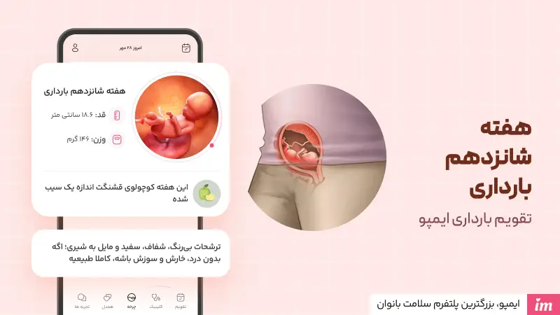 عکس جنین در هفته شانزدهم بارداری