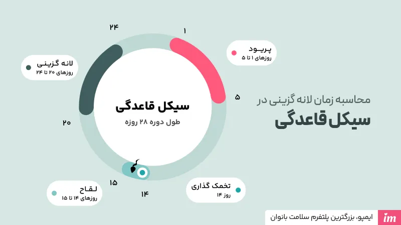 لانه گزینی چه زمانی اتفاق می‌افتد؟