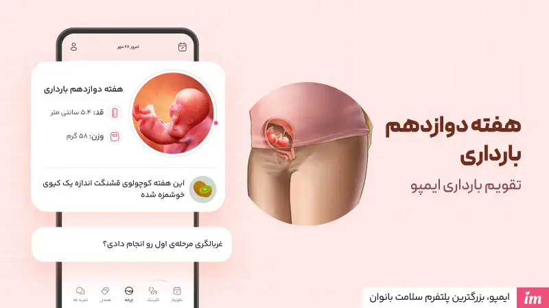 عکس جنین در هفته دوازدهم بارداری