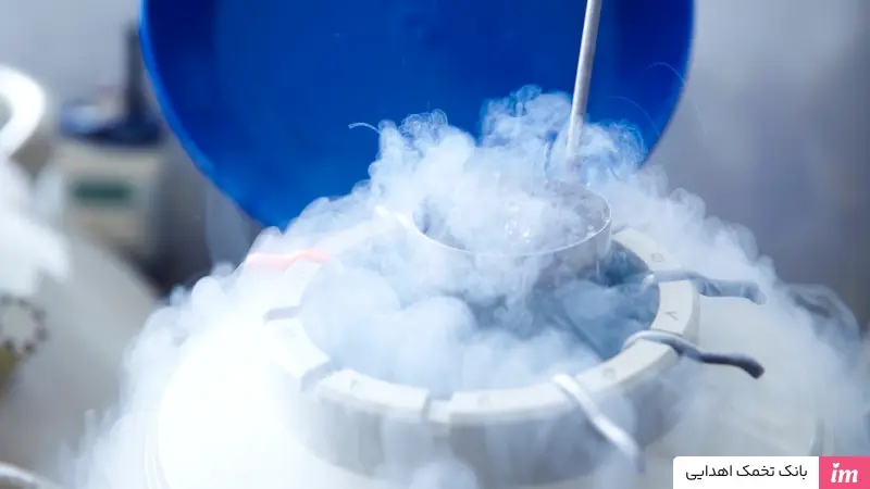 بانک تخمک اهدایی