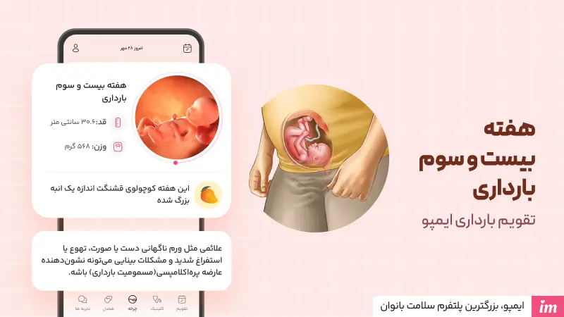 تصویر جنین در هفته 23 بارداری