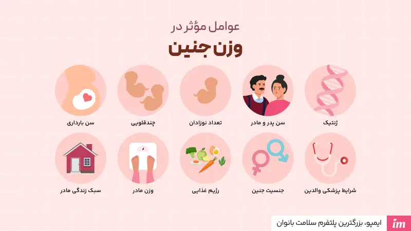 عوامل موثر بر وزنگیری جنین