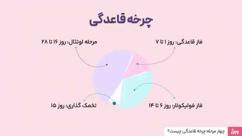 چرخه قاعدگی یا سیکل قاعدگی چیست؟