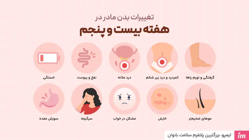 تغییرات مادر در هفته بیست و پنجم بارداری