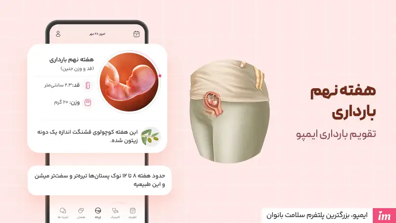 هفته نهم بارداری