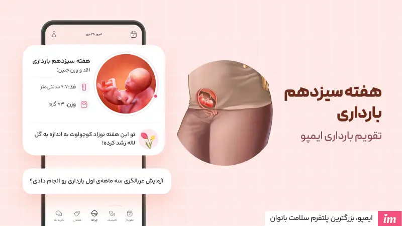 هفته سیزدهم بارداری