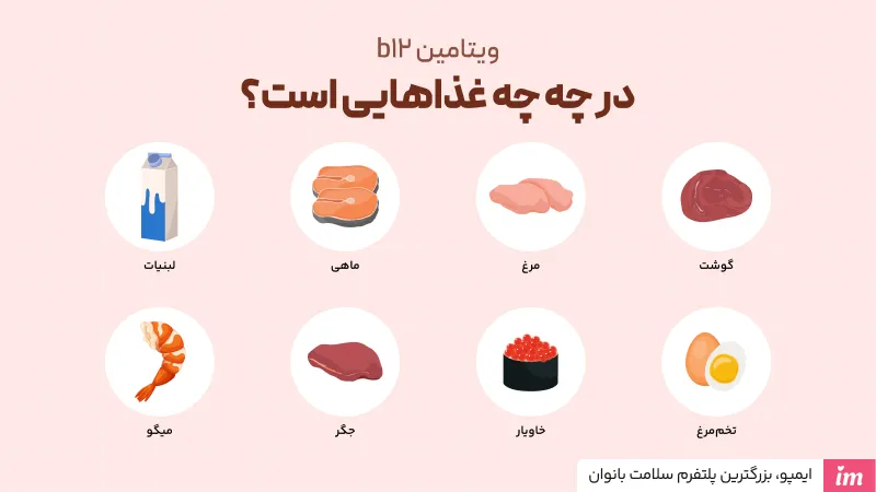 ویتامین b12 در چه غذاهایی است؟