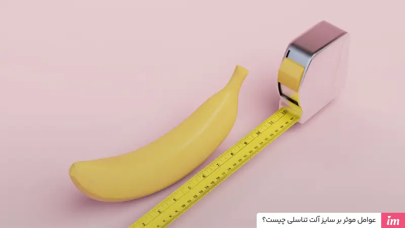 عکس آلت تناسلی مرد