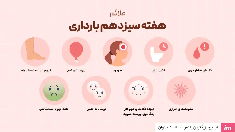 تغییرات مادر در هفته سیزدهم بارداری