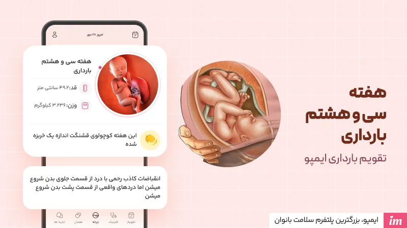 وضعیت جنین در هفته 38 بارداری